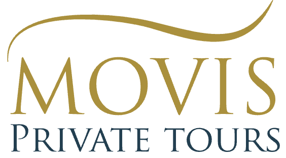 logo_movis