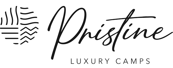 pristine logo Pristine